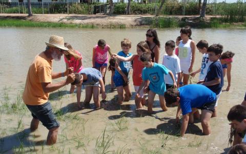 Colònies al Delta de l'Ebre (6è)